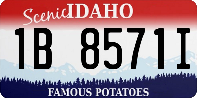 ID license plate 1B8571I