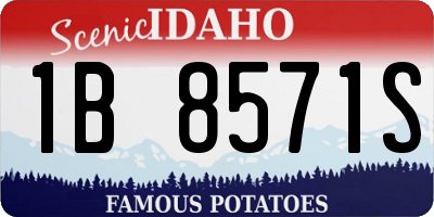 ID license plate 1B8571S