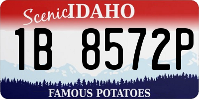 ID license plate 1B8572P
