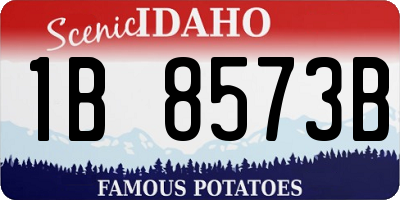 ID license plate 1B8573B