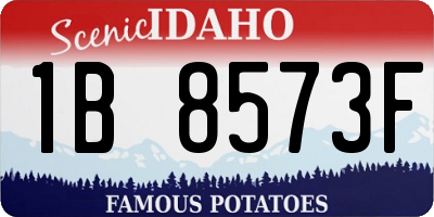 ID license plate 1B8573F