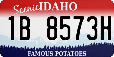 ID license plate 1B8573H