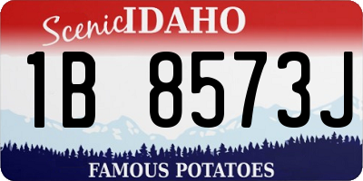 ID license plate 1B8573J