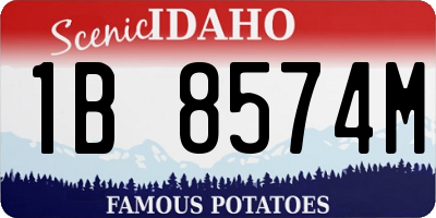ID license plate 1B8574M