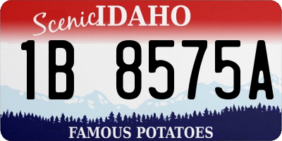 ID license plate 1B8575A