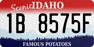 ID license plate 1B8575F