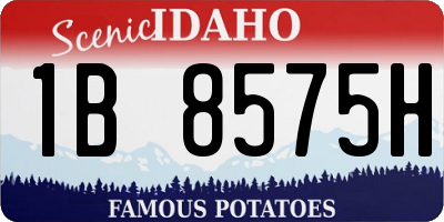 ID license plate 1B8575H