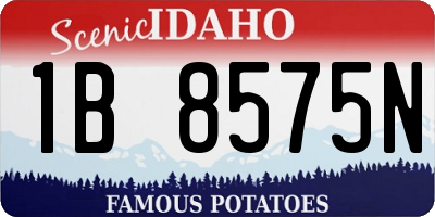 ID license plate 1B8575N