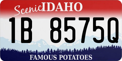 ID license plate 1B8575Q