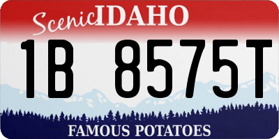 ID license plate 1B8575T