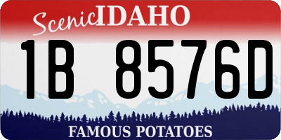 ID license plate 1B8576D