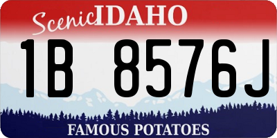 ID license plate 1B8576J