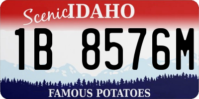 ID license plate 1B8576M