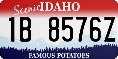 ID license plate 1B8576Z