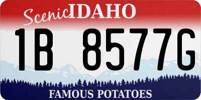 ID license plate 1B8577G