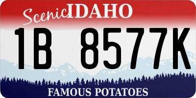 ID license plate 1B8577K