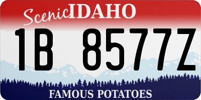 ID license plate 1B8577Z