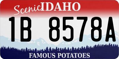 ID license plate 1B8578A