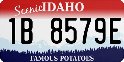 ID license plate 1B8579E