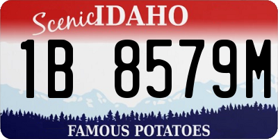 ID license plate 1B8579M