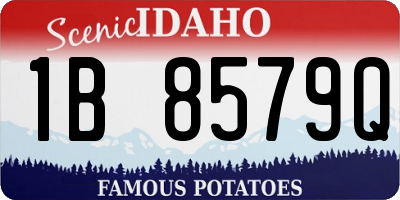 ID license plate 1B8579Q