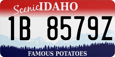 ID license plate 1B8579Z