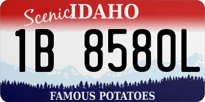ID license plate 1B8580L