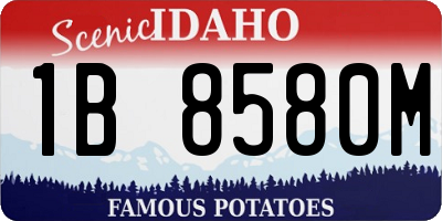 ID license plate 1B8580M