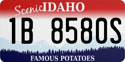 ID license plate 1B8580S