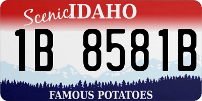 ID license plate 1B8581B