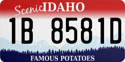 ID license plate 1B8581D