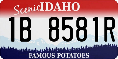 ID license plate 1B8581R