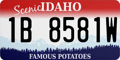 ID license plate 1B8581W