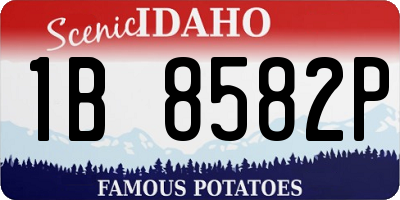ID license plate 1B8582P
