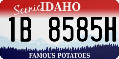 ID license plate 1B8585H