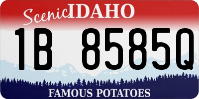 ID license plate 1B8585Q