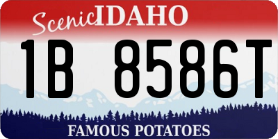 ID license plate 1B8586T