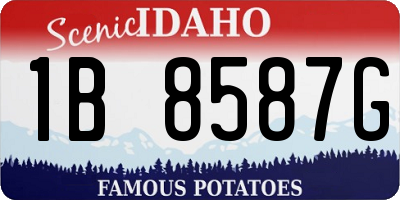 ID license plate 1B8587G