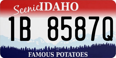 ID license plate 1B8587Q