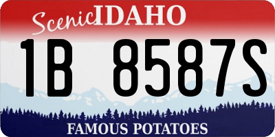 ID license plate 1B8587S