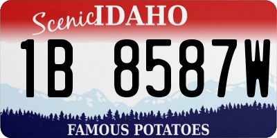 ID license plate 1B8587W