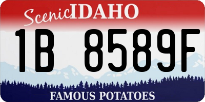 ID license plate 1B8589F