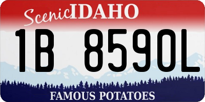 ID license plate 1B8590L