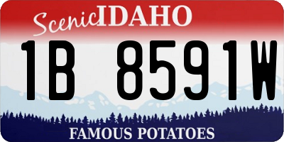 ID license plate 1B8591W