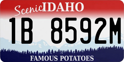 ID license plate 1B8592M