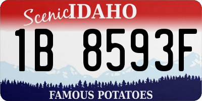 ID license plate 1B8593F