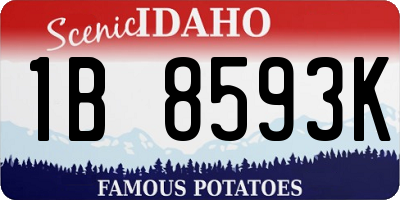 ID license plate 1B8593K