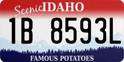 ID license plate 1B8593L