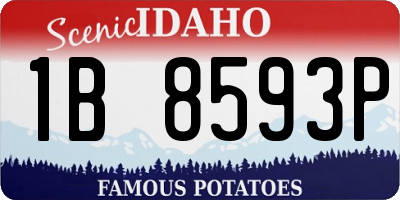 ID license plate 1B8593P