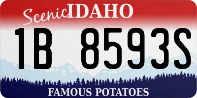 ID license plate 1B8593S